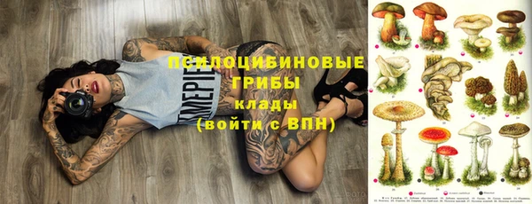 бутират Горно-Алтайск