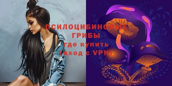 бутират Горно-Алтайск