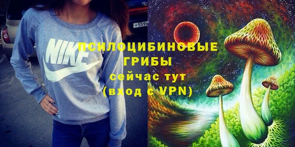 бутират Горно-Алтайск