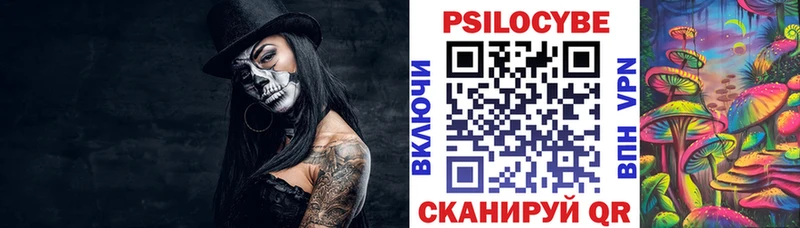 Псилоцибиновые грибы GOLDEN TEACHER  сайты даркнета как зайти  Дивногорск 